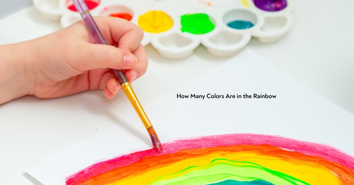 How Many Colors Are in the Rainbow